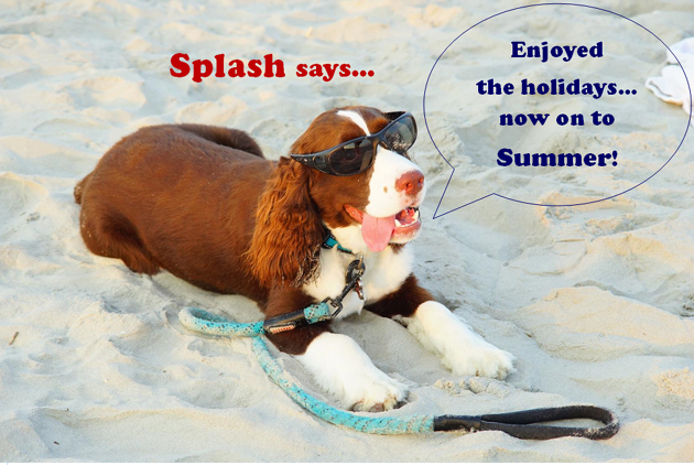 Splash Says On To Summer!