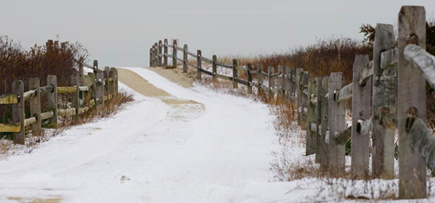 Snow on Avalon, NJ 60th Street Beach