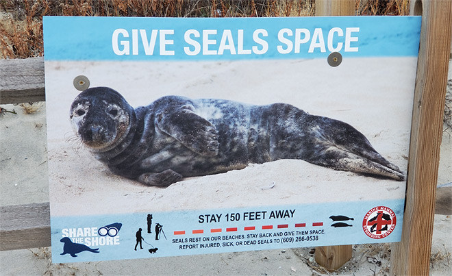 Seals