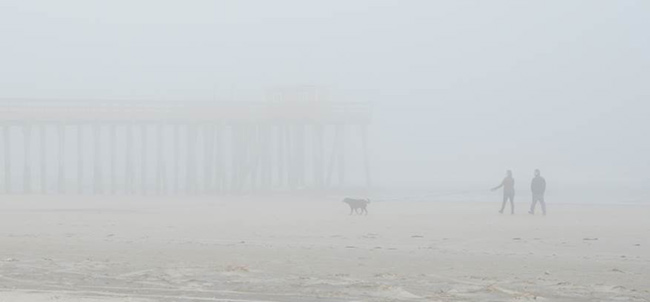 Fog Over Avalon Fishing Pier