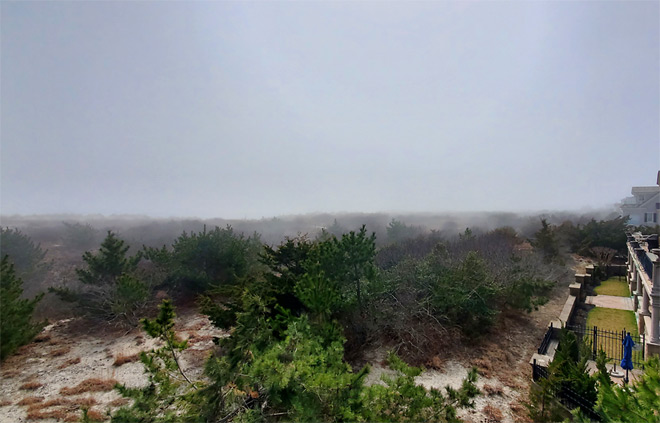 Foggy Dunes